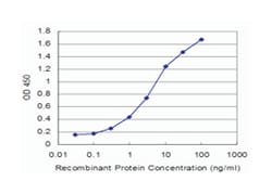 GLRA1, Mouse, Clone: 3F1, Abnova 100&mu;g; Unlabeled:Antibodies, Monoclonal