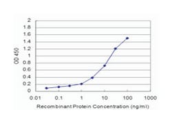 glycine cleavage system protein H (aminomethyl carrier), Mouse, Clone:
