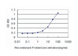 MAP kinase interacting serine/threonine kinase 2, Mouse, Clone: 4F11, Abnova