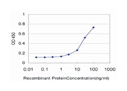 glycogen synthase kinase 3 beta, Mouse, Clone: 1H3, Abnova&trade;