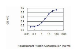 MYOG, Mouse, Clone: 2E19, Abnova 100 &mu;g | Buy Online | Abnova Corporation | Fisher Scientific