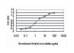 mitogen-activated protein kinase kinase 3, Mouse, Clone: 1D10, Abnova 100&mu;g;