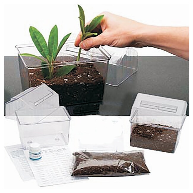 LabAids Plant Cloning Propagating Cuttings Kit Plant Cloning