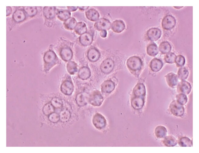 Edvotek Mammalian Cell Culture Kits Teaching SuppliesBiology Classroom