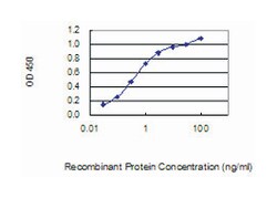 JARID1D, Mouse, Clone: 4C6, Abnova 100&mu;g; Unlabeled:Antibodies, Monoclonal