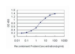 homeobox A11, Mouse, Clone: 7E12, Abnova 100&mu;g; Unlabeled:Anticuerpos