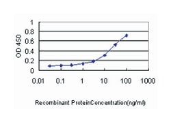 ketohexokinase (fructokinase), Mouse, Clone: 1H6-2B6, Abnova 100&mu;g;