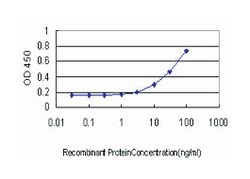 retinol binding protein 4, plasma, Mouse, Clone: 4H7, Abnova 100&mu;g;