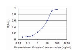 TNF, Mouse, Clone: M2-E3, Abnova 100&mu;g; Unlabeled:Antibodies, Monoclonal