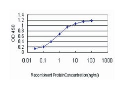 HD, Mouse, Clone: 2E10, Abnova&trade;