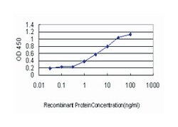 hematopoietically expressed homeobox, Mouse, Clone: 1A5, Abnova 100&mu;g;