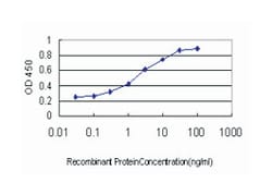 forkhead box A2, Mouse, Clone: 7E6, Abnova 100&mu;g; Unlabeled:Antibodies,