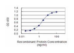 interleukin 10, Mouse, Clone: 1C10, Abnova 50 &mu;g | Buy Online | Abnova Corporation | Fisher Scientific