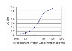 v-kit Hardy-Zuckerman 4 feline sarcoma viral oncogene homolog, Mouse, Clone: