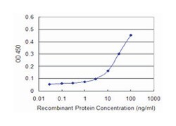 LFNG O-fucosylpeptide 3-beta-N-acetylglucosaminyltransferase, Mouse, Clone: