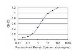 methionyl-tRNA synthetase, Mouse, Clone: 5G5, Abnova 100&mu;g; Unlabeled:Anticuerpos