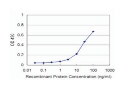 nuclear factor of kappa light polypeptide gene enhancer in B-cells 1, Mouse,