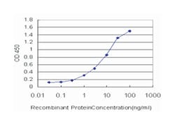 protocadherin 7, Mouse, Clone: 2D7, Abnova™