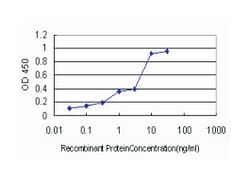 peptidylprolyl cis/trans isomerase, NIMA-interacting 1, Mouse, Clone: 5A8,