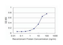MAPK3, Mouse, Clone: 1E2, Abnova 100 &mu;g | Buy Online | Abnova Corporation | Fisher Scientific