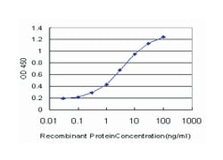 twinfilin, actin-binding protein, homolog 1 (Drosophila), Mouse, Clone: