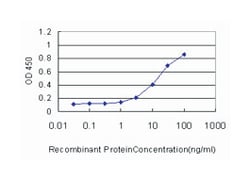 RAD51-like 3 (S. cerevisiae), Mouse, Clone: 1C8-3C12, Abnova 100&mu;g;