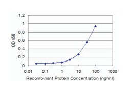 inhibitor of kappa light polypeptide gene enhancer in B-cells, kinase gamma, Mouse, Clone: 1D4, Abnova 100 &mu;g | Buy Online | Abnova Corporation | Fisher Scientific