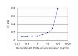 heme oxygenase (decycling) 2, Mouse, Clone: 1D8-1A8, Abnova&trade;