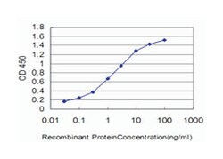 heat shock 70kDa protein 1B, Mouse, Clone: 2D11, Abnova 100&mu;g; Unlabeled:Antibodies,