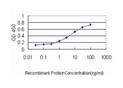 peptidylprolyl isomerase A (cyclophilin A), Mouse, Clone: 1F4-1B5, Abnova