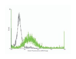 prostaglandin D2 receptor (DP), Mouse, Purified MaxPab Polyclonal Antibody,