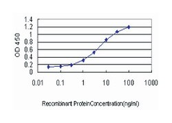 PTK2 (M03), Mouse anti-Human, Clone: 1D7, Abnova 50 &mu;g | Buy Online | Abnova Corporation | Fisher Scientific