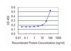 microsomal glutathione S-transferase 2, Mouse, Clone: 4E1, Abnova 100&mu;g;