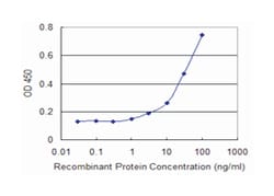 muscle, skeletal, receptor tyrosine kinase, Mouse, Clone: 2H6, Abnova 100&mu;g;