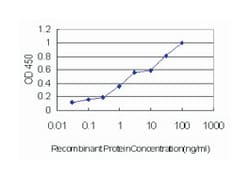 syntaxin 1A (brain), Mouse, Clone: 1B11-1A8, Abnova 100 &mu;g | Buy Online | Abnova Corporation | Fisher Scientific