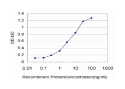 IL8, Mouse, Clone: 2F12, Abnova 100 &mu;g | Buy Online | Abnova Corporation | Fisher Scientific