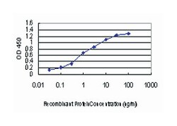 interleukin-1 receptor-associated kinase 2, Mouse, Clone: 3H1, Abnova&trade;
