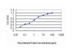 leucine zipper-EF-hand containing transmembrane protein 1, Mouse, Clone: