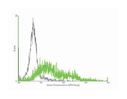 neuropeptide Y receptor Y5, Mouse, Purified MaxPab&trade; Polyclonal Antibody, Abnova&trade;