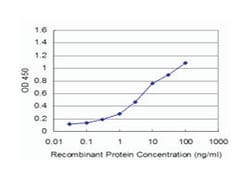 Y box binding protein 1, Mouse, Clone: 4C7, Abnova 100&mu;g; Unlabeled:Antibodies,