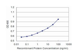 nonmetastatic cells 2, protein (NM23B) expressed in, Mouse, Clone: 1D3, Abnova 100 &mu;g | Buy Online | Abnova Corporation | Fisher Scientific