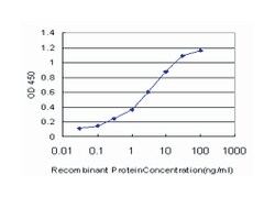 RAR-related orphan receptor B, Mouse, Clone: 1D1, Abnova™