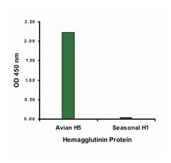 Avian Influenza Hemagglutinin 2, Goat, Polyclonal Antibody, Abnova 100 &mu;g | Buy Online | Abnova Corporation | Fisher Scientific