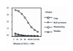 Vitellogenin (VTG), Mouse, Clone: 1G2, Abnova 100&mu;g; Unlabeled:Antibodies,