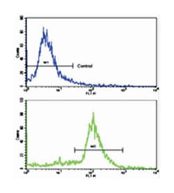 ALDH6A1 Rabbit anti-Human, Polyclonal Antibody, Abnova 400&mu;L; Unlabeled:Antibodies,