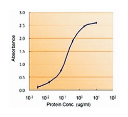 FOXO4, Goat, Polyclonal Antibody, Abnova 100 &mu;g | Buy Online | Abnova Corporation | Fisher Scientific