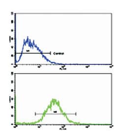 CCNA2 Rabbit anti-Human, Polyclonal Antibody, Abnova 400 &mu;L | Buy Online | Abnova Corporation | Fisher Scientific