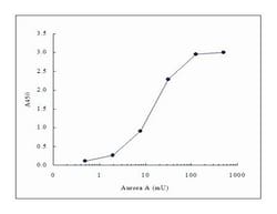 LATS2, Mouse, Clone: ST-3B11, Abnova 100&mu;g; Unlabeled:Antibodies