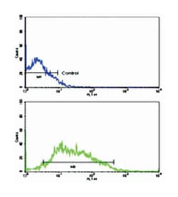 CDCA8 Rabbit anti-Human, Polyclonal Antibody, Abnova 400 &mu;L | Buy Online | Abnova Corporation | Fisher Scientific