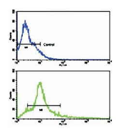 ACVR1B Rabbit anti-Human, Mouse, Polyclonal Antibody, Abnova 400 &mu;L | Buy Online | Abnova Corporation | Fisher Scientific
